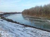 Tisza