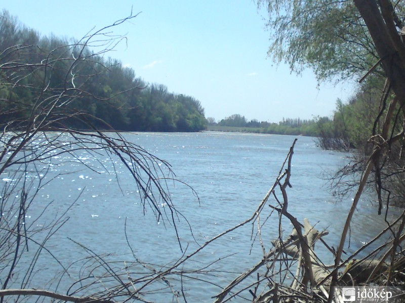 Tisza folyó