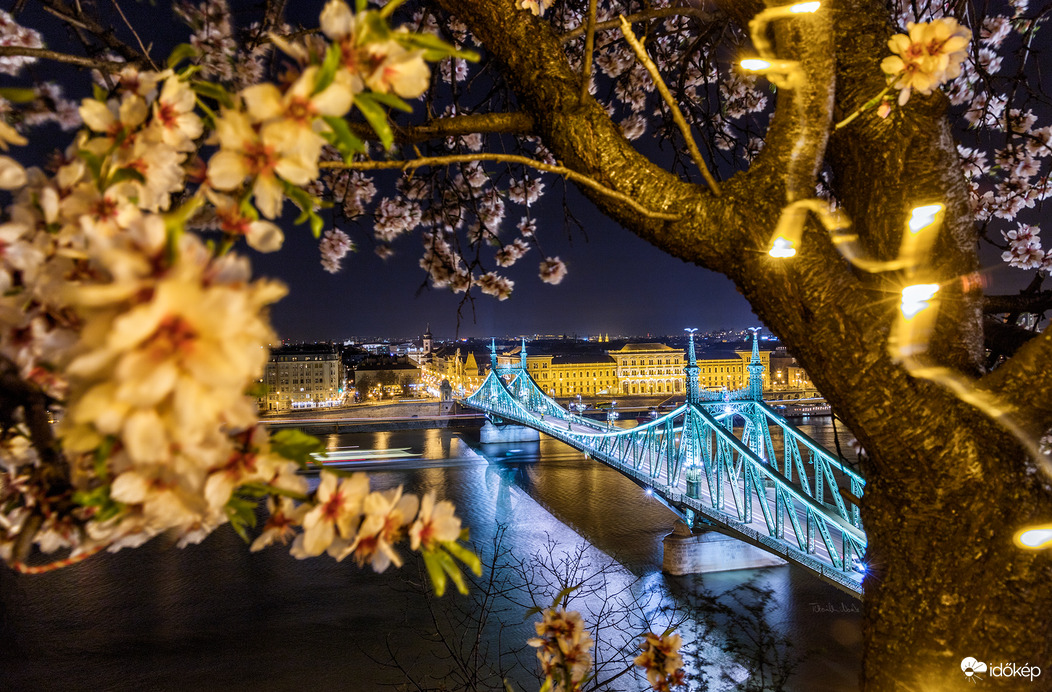 BudapEsti éjszaka