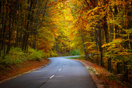 Itt az ősz, itt van újra