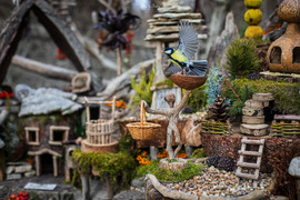 Madáretetés Manófalván