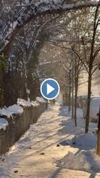 A természet csillámpora