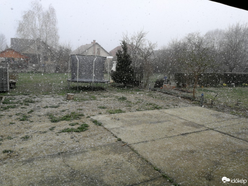 Kalocsa