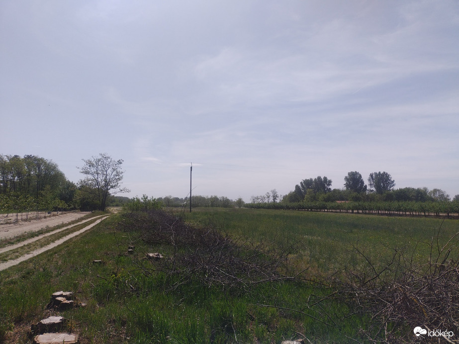 Bordány