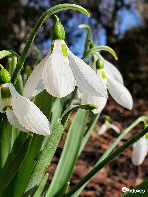 Végre napsütésben