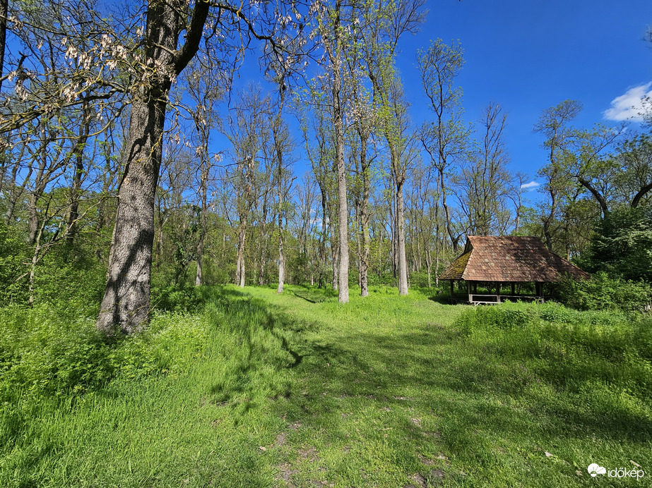 Pihenő a zöldben