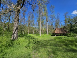 Pihenő a zöldben