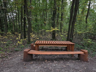 Erdei pihenő