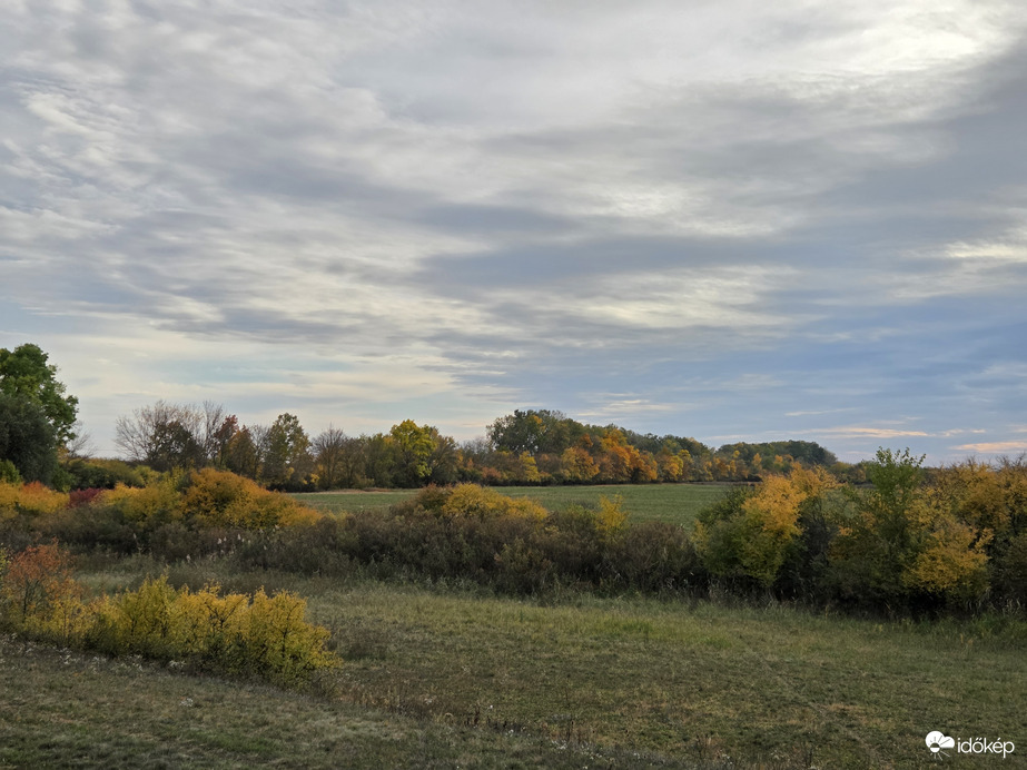 Őszi táj