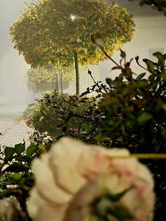 Ködösen is szépek