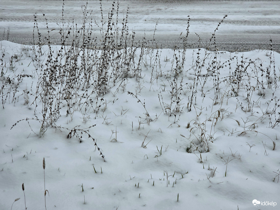 Egyszerűen, tisztán, havasan