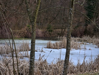 Félig befagyott tó ma délután