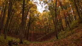 tkrisz82 fotója