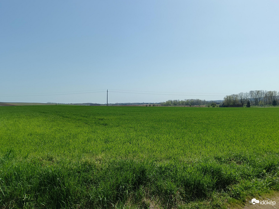 Füves puszta