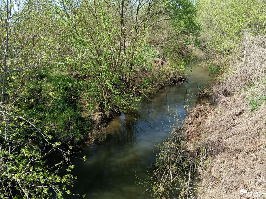 Tarna