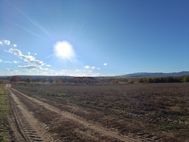 Napsütés a szőlők felett