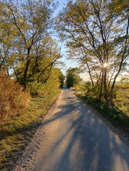 Sárguló lombok Feldebrő felé