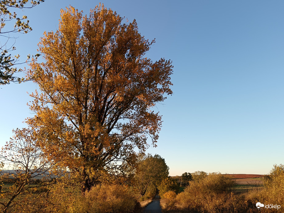 Őszi fák Feldebrő szélén