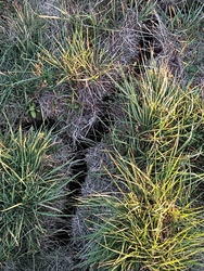 Felrepedt a föld a aszálytól