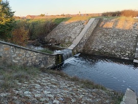 Déli zúgó a Tarnán