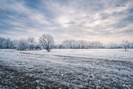 Hódmezővásárhely