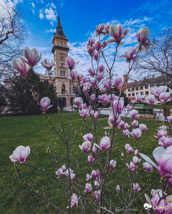 Hódmezővásárhely
