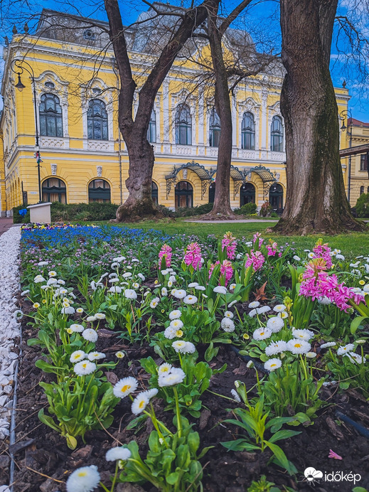 Hódmezővásárhely