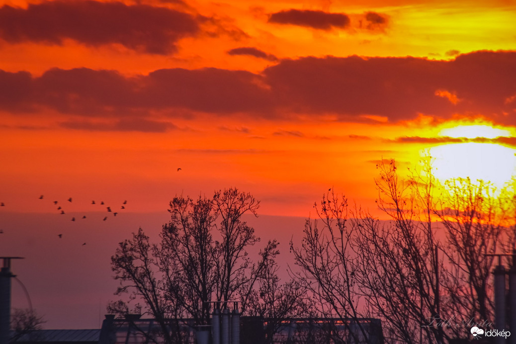 Hódmezővásárhely