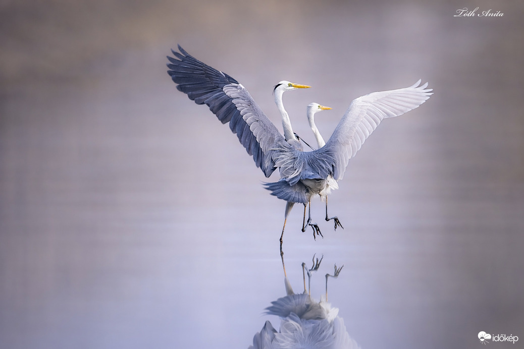 Aki nem lép egyszerre 