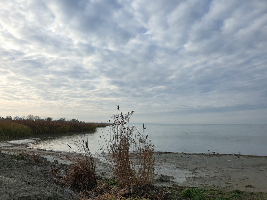 Balatonfenyves