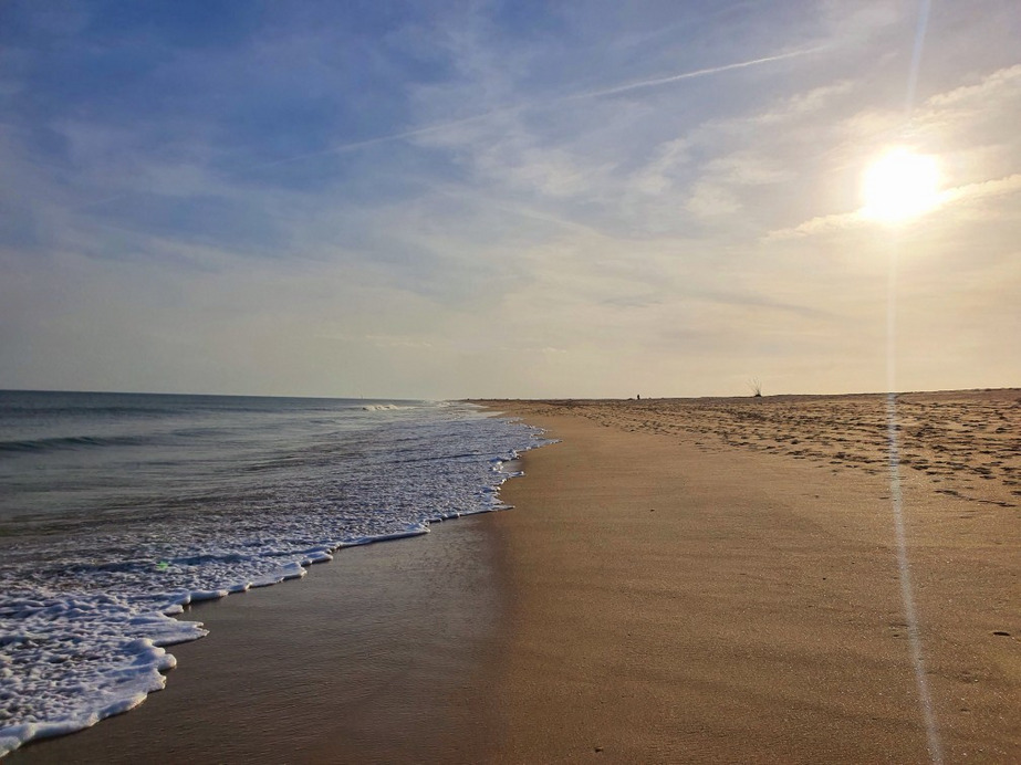 Tavira