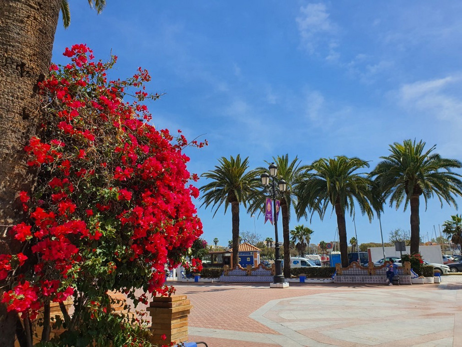 Ayamonte