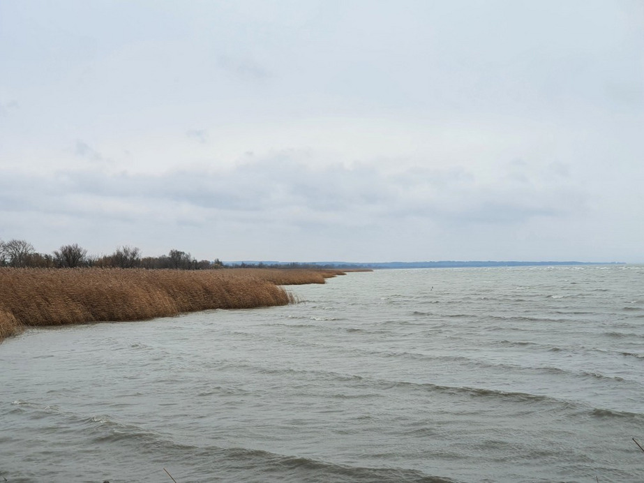 Balatonfenyves