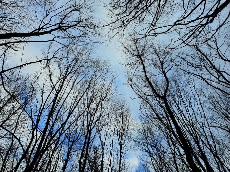 Budapest XII.ker - Normafa