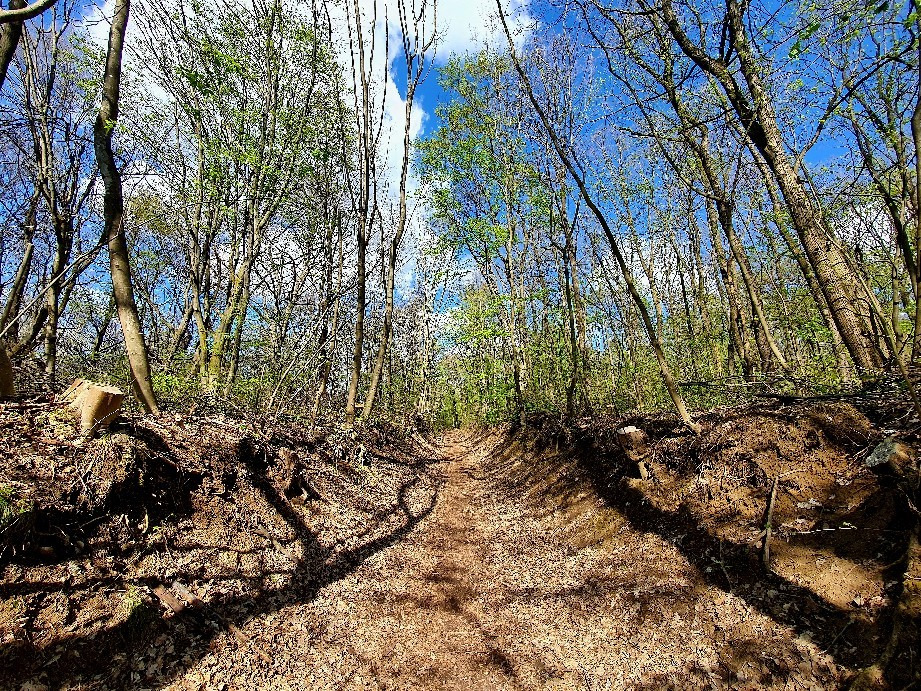 Budapest XII.ker - Normafa