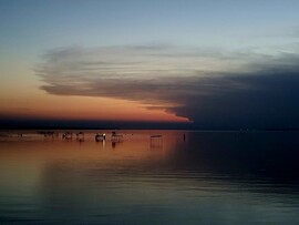 Balatonfenyves