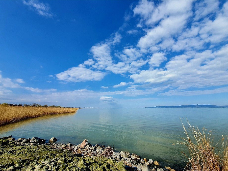 Balatonfenyves