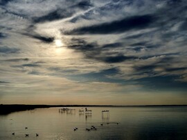 Balatonfenyves