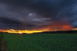 todorpeter fotója