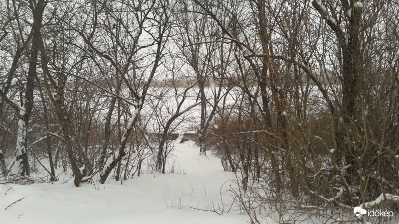 Szeged-Szentmihály,Holt-Tisza stég