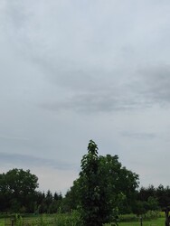 Arnót
