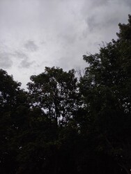 Miskolc