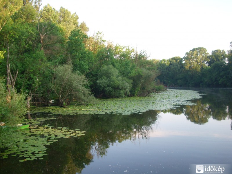 Tisza holt ág - Erdős rész