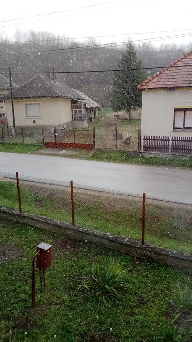 Csokvaomány