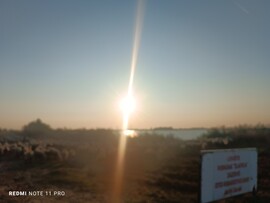 Остојићево