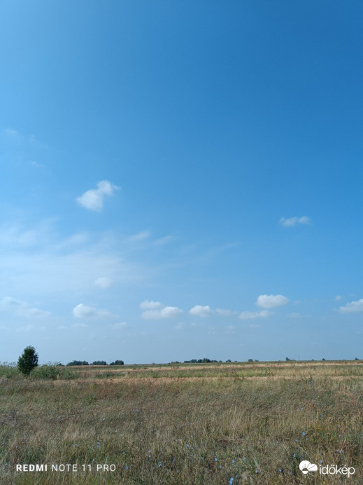 Остојићево