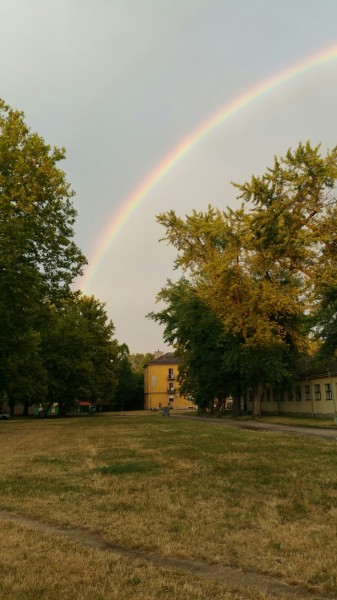 Oroszlány