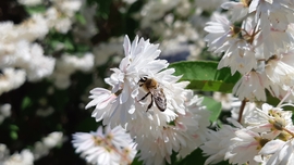 meg hetvegen is csak a munka...