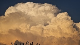 A függetlenség napja :-)