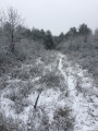 Filkeháza